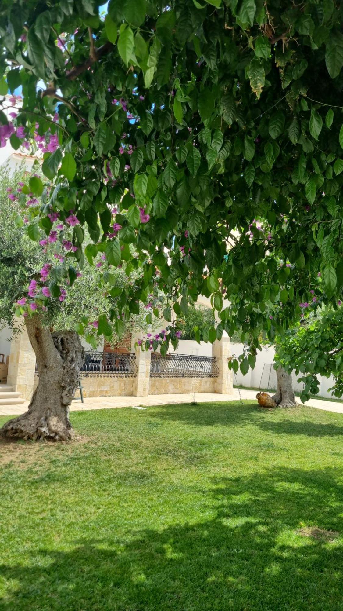 Villa Guajira Bari Exterior photo